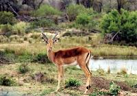 Suedafrika 2003
